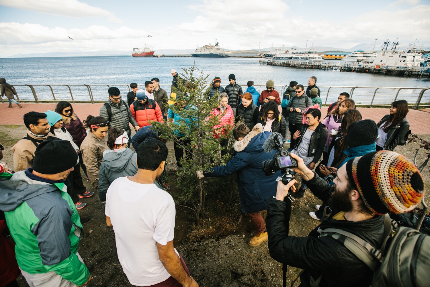 Tree Planting_Ushuaia-16