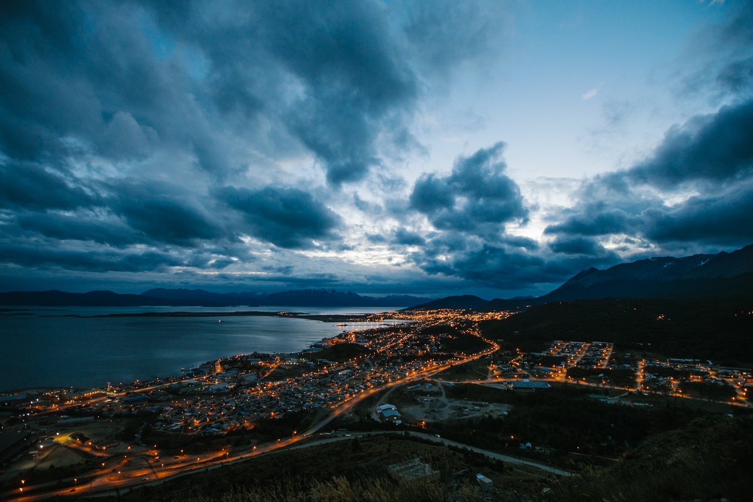 Tree Planting_Ushuaia-3